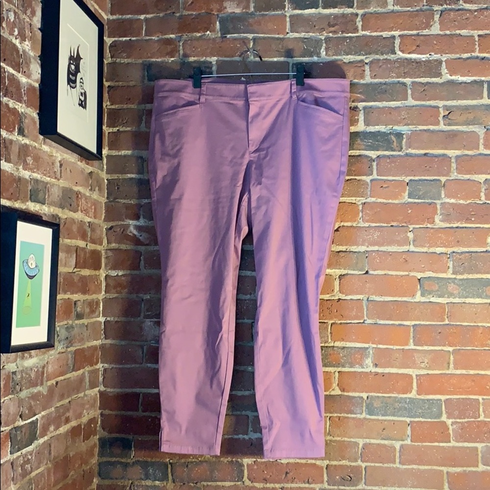 Purple Pants